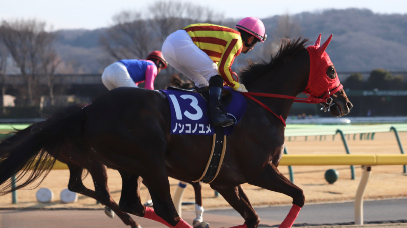 ノンコノユメ,Ⓒ三木俊幸