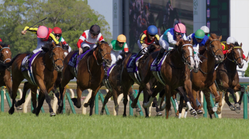 東京競馬場のコースを駆ける馬群Ⓒ三木俊幸