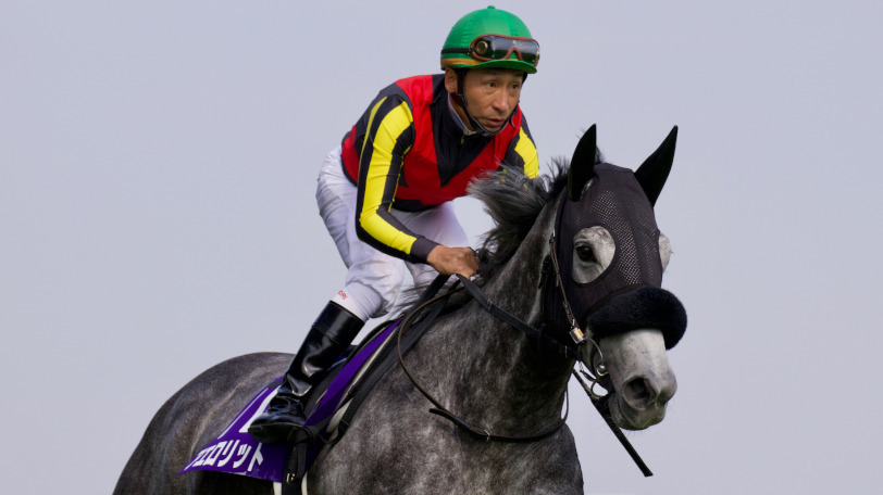 安田記念で本命のアエロリットⒸ三木俊幸