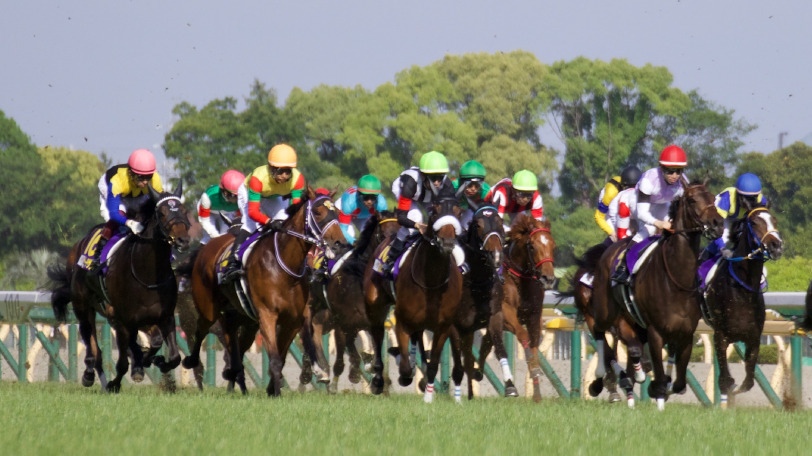 東京競馬場のコースを駆ける馬群Ⓒ三木俊幸