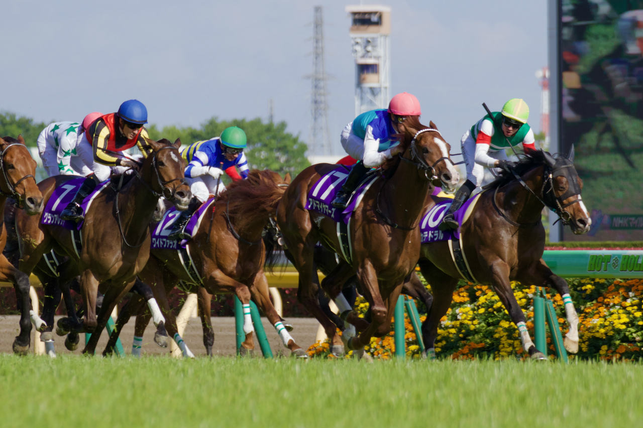 NHKマイルCⒸ三木俊幸