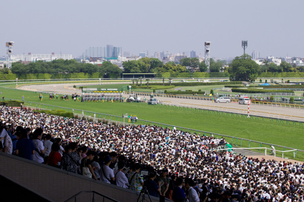 ダービー当日の観客席Ⓒ三木俊幸