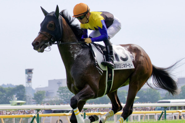 ダービー当日のヴェロックスⒸ三木俊幸