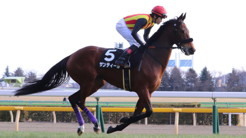 マーメイドSで本命に推されたサンティールⒸ三木俊幸