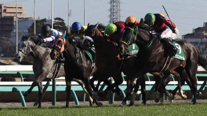 馬場を駆け抜ける馬群Ⓒ三木俊幸