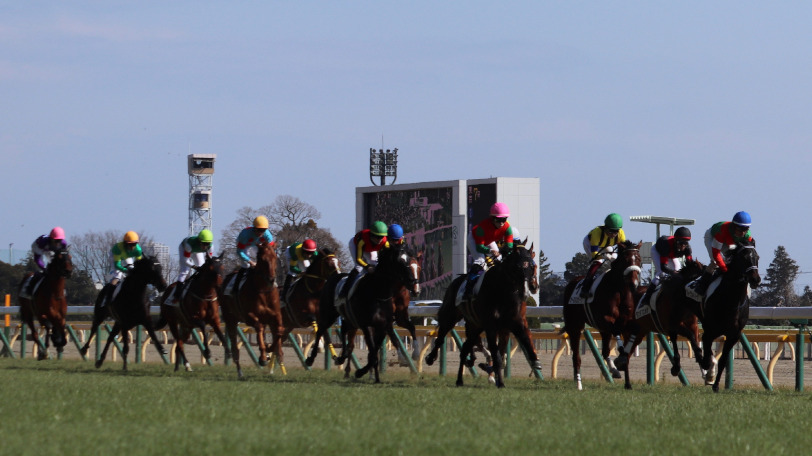 イメージ画像Ⓒ三木俊幸