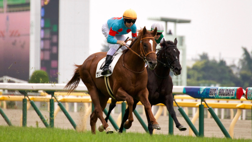 6月2日に新馬勝ちをしたサリオスⒸ三木俊幸