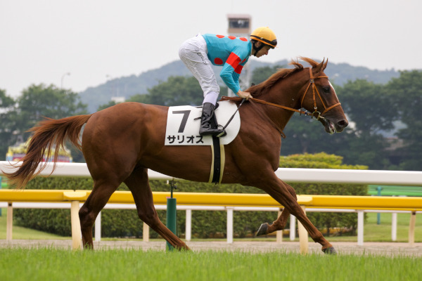 サリオスの返し馬Ⓒ三木俊幸