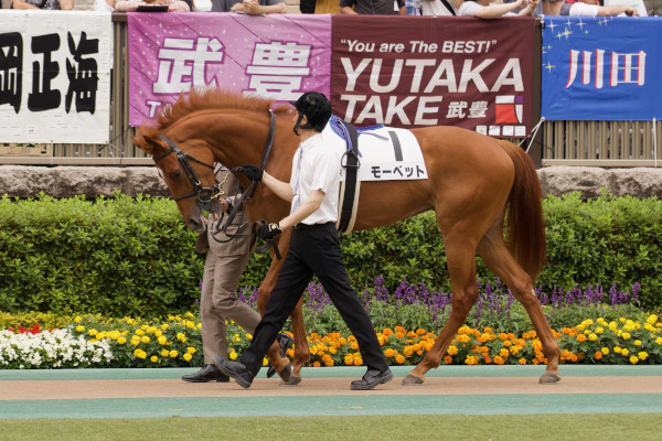 モーベットのパドックⒸ三木俊幸