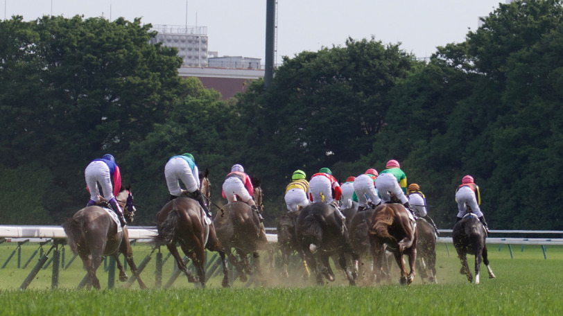 東京競馬場を駆け抜ける馬群Ⓒ三木俊幸