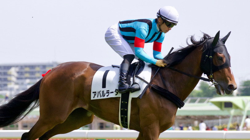 【多摩川S】クラスが上がるのは好材料？ アバルラータは今の馬場にぴったり