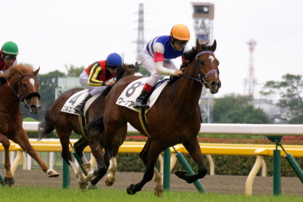 ワーケアのゴール前Ⓒ三木俊幸