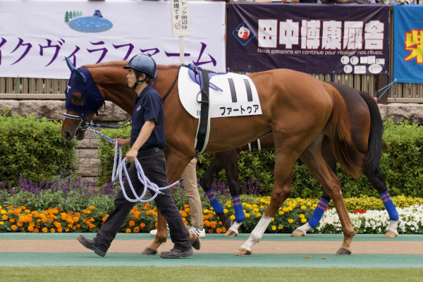 1億円馬ワーケアが新馬勝ち 土日の東京新馬戦は落合幸弘氏の2頭が勝利 競馬 Ai データ分析 Spaia競馬