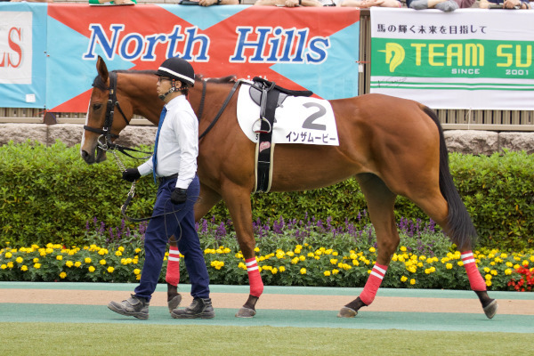 インザムービーのパドックⒸ三木俊幸