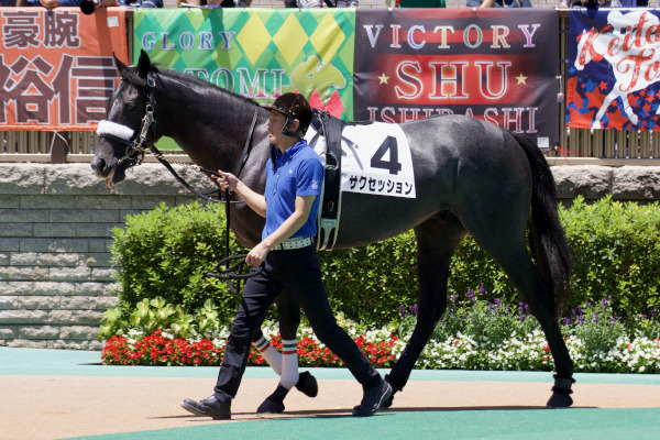 サクセッションのパドックⒸ三木俊幸
