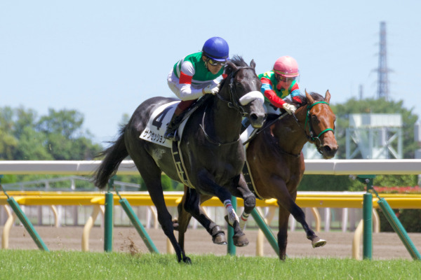 サクセッションのゴール前Ⓒ三木俊幸