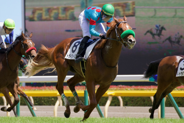 トライフォーリアルのゴール前Ⓒ三木俊幸