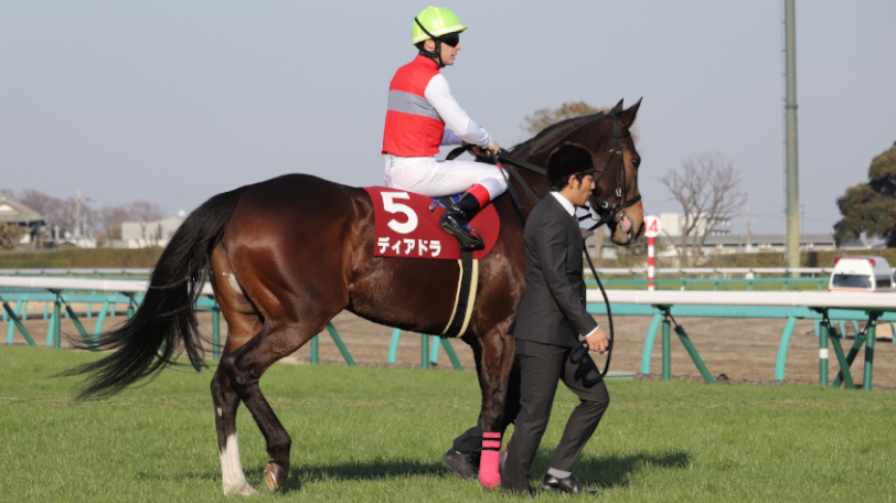 プリンスオブウェールズSに出走するディアドラⒸ三木俊幸