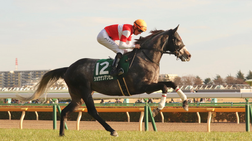 本命に推されたショウナンアンセムⒸ三木俊幸