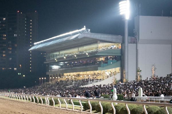 大井競馬場の観客Ⓒ三木俊幸