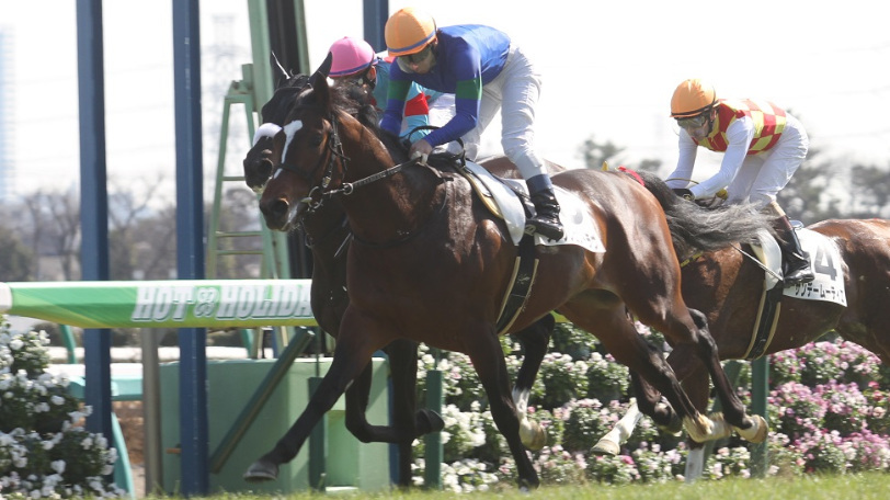 2019年七夕賞で本命に推されたクレッシェンドラヴⒸ明石智子