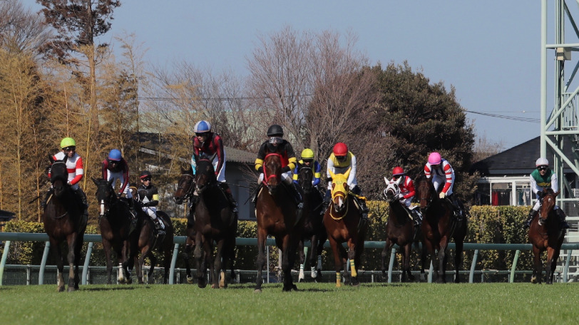 イメージ画像Ⓒ三木俊幸