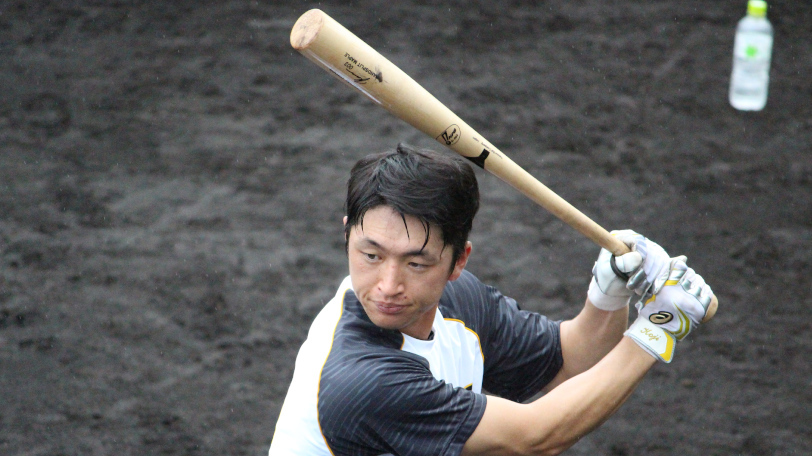 値下げ レア 阪神タイガース 近本光司選手 NPB バット - バット