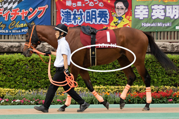 NHKマイル時のケイアイノーテックⒸSPAIA(撮影:三木俊幸)