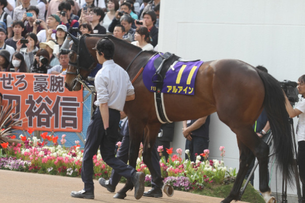 2019年大阪杯のアルアインのパドックⒸ明石智子