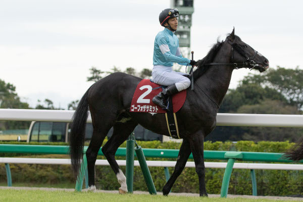 オールカマー時のゴーフォザサミットⒸSPAIA(撮影:三木俊幸)