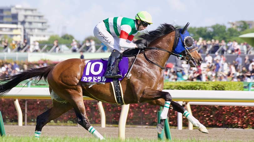 【富士S予想】ノームコアは雨が心配　過去の馬場傾向から適性のある本命馬は？