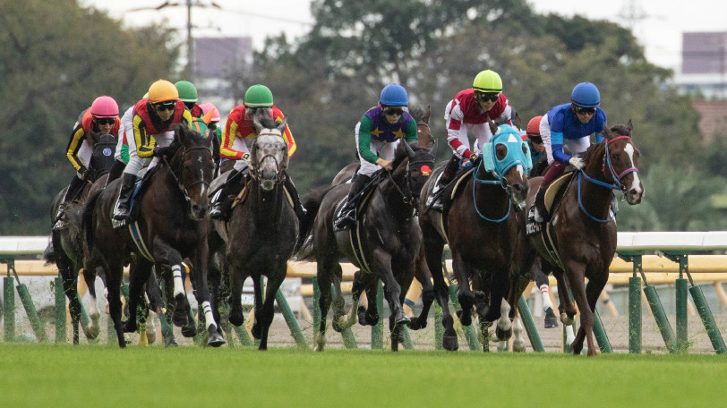 イメージ画像ⒸSPAIA（撮影：三木俊幸）