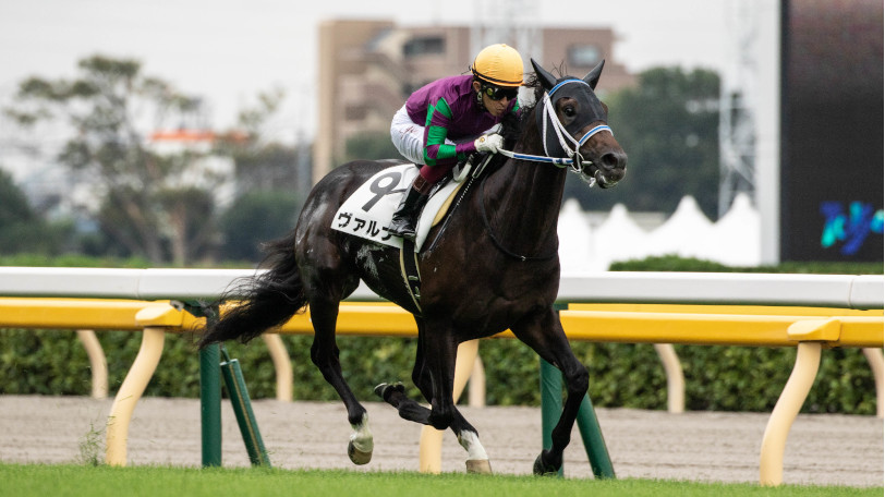 今回本命に推されたヴァルナⒸSPAIA（撮影：三木俊幸）