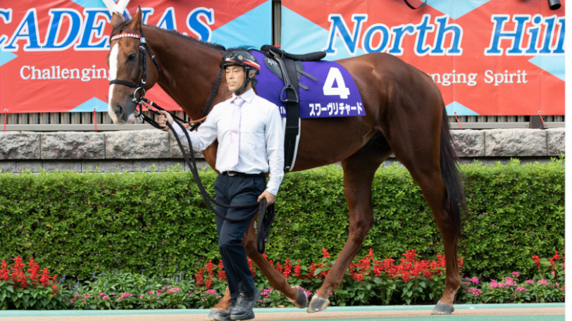 【ジャパンC】パドックで注目すべき馬は？東大HCの獣医学専修生がチェックポイントを分析！