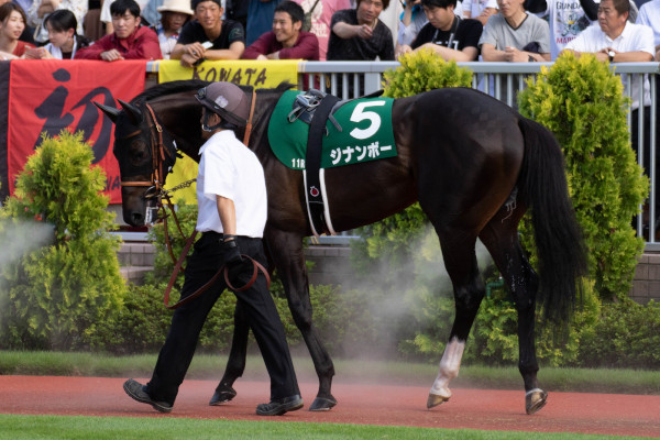 2019年新潟記念時のジナンボーⒸSPAIA(撮影:三木俊幸)