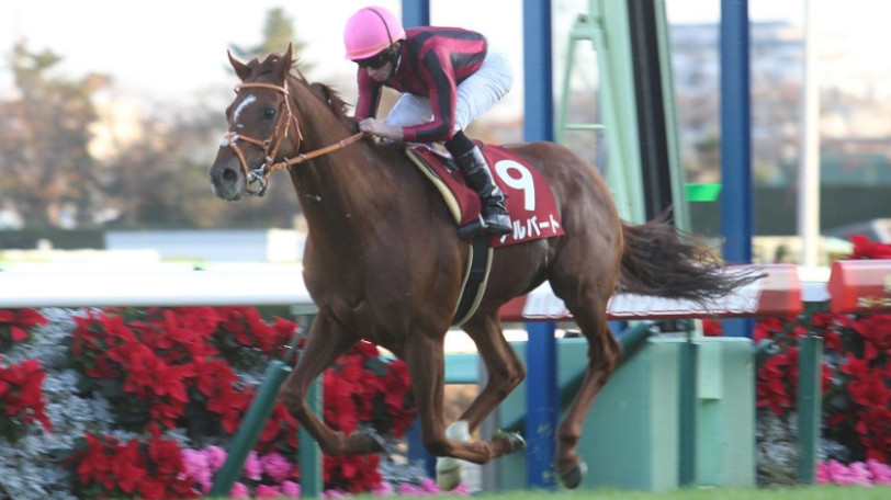 アルバートⒸ明石智子