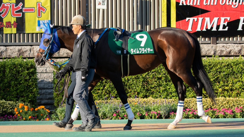 【チャンピオンズC】徹底した内枠狙い!東大HCの本命は最内1番タイムフライヤー