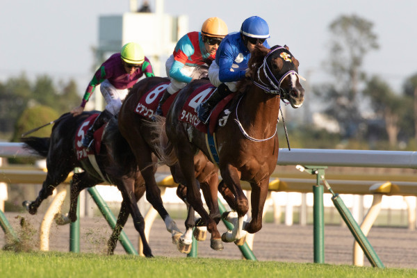 2019年の京王杯2歳ステークスを制したタイセイビジョン