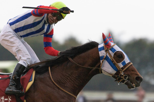 2019年のアルゼンチン共和国杯を制したムイトオブリガードⒸSPAIA（撮影：三木俊幸）