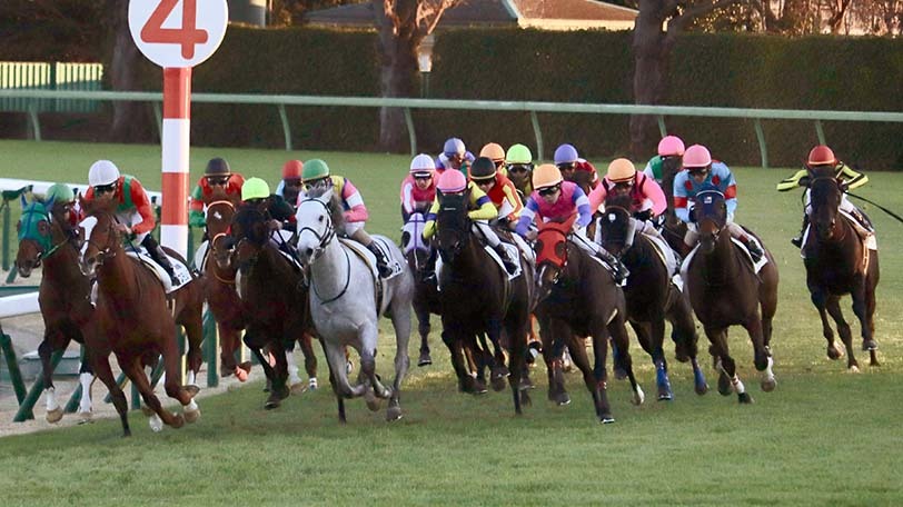 【福島記念】馬場適性ナンバー1は意外な馬　馬場傾向からぴったり合う本命馬は？