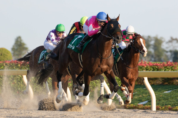 2019年の武蔵野ステークスを制したワンダーリーデルⒸSPAIA（撮影：三木俊幸）