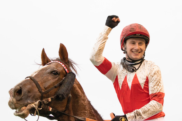 ジャパンカップを制したマーフィー騎手ⒸSPAIA（撮影：三木俊幸）