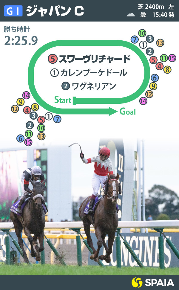 2019年ジャパンカップインフォグラフィックⒸSPAIA