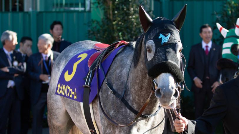 【チャンピオンズC】京大競馬研は追込馬を推奨　中京はOPクラスから傾向ががらりと変わる