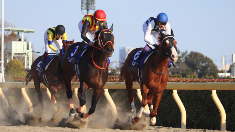 2019年のフェブラリーステークスⒸSPAIA(撮影:三木俊幸)