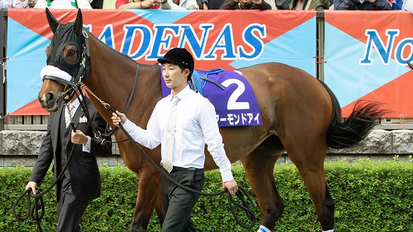 2019年天皇賞秋時のアーモンドアイⒸSPAIA(撮影:三木俊幸)