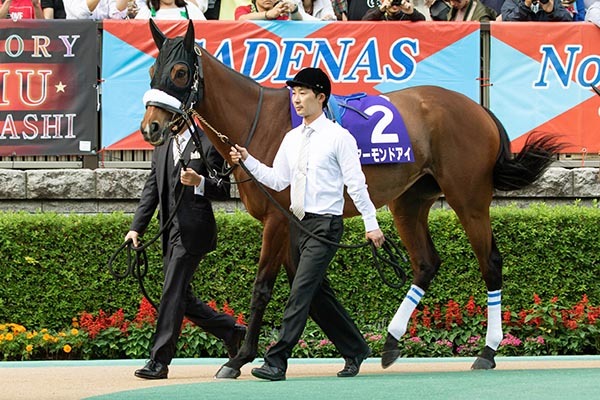 2019年天皇賞秋時のアーモンドアイⒸSPAIA(撮影:三木俊幸)