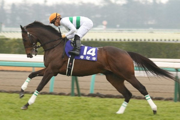 キセキⒸ明石智子