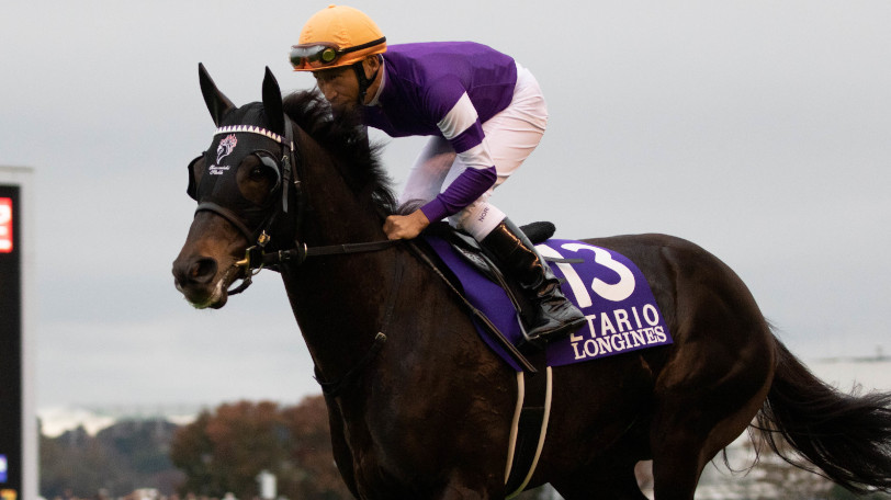 【有馬記念】データ的に「ＪＣ1.0秒差の壁」があるが、それでも東大HCは高配当狙いのエタリオウ