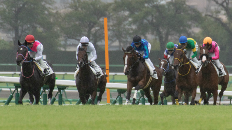 【ホープフルS】東大HCがブルーミングスカイを本命に推す理由とは？